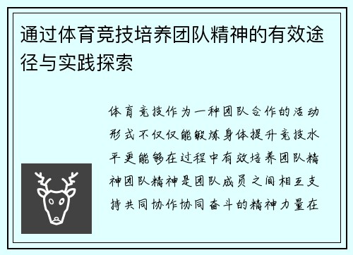 通过体育竞技培养团队精神的有效途径与实践探索